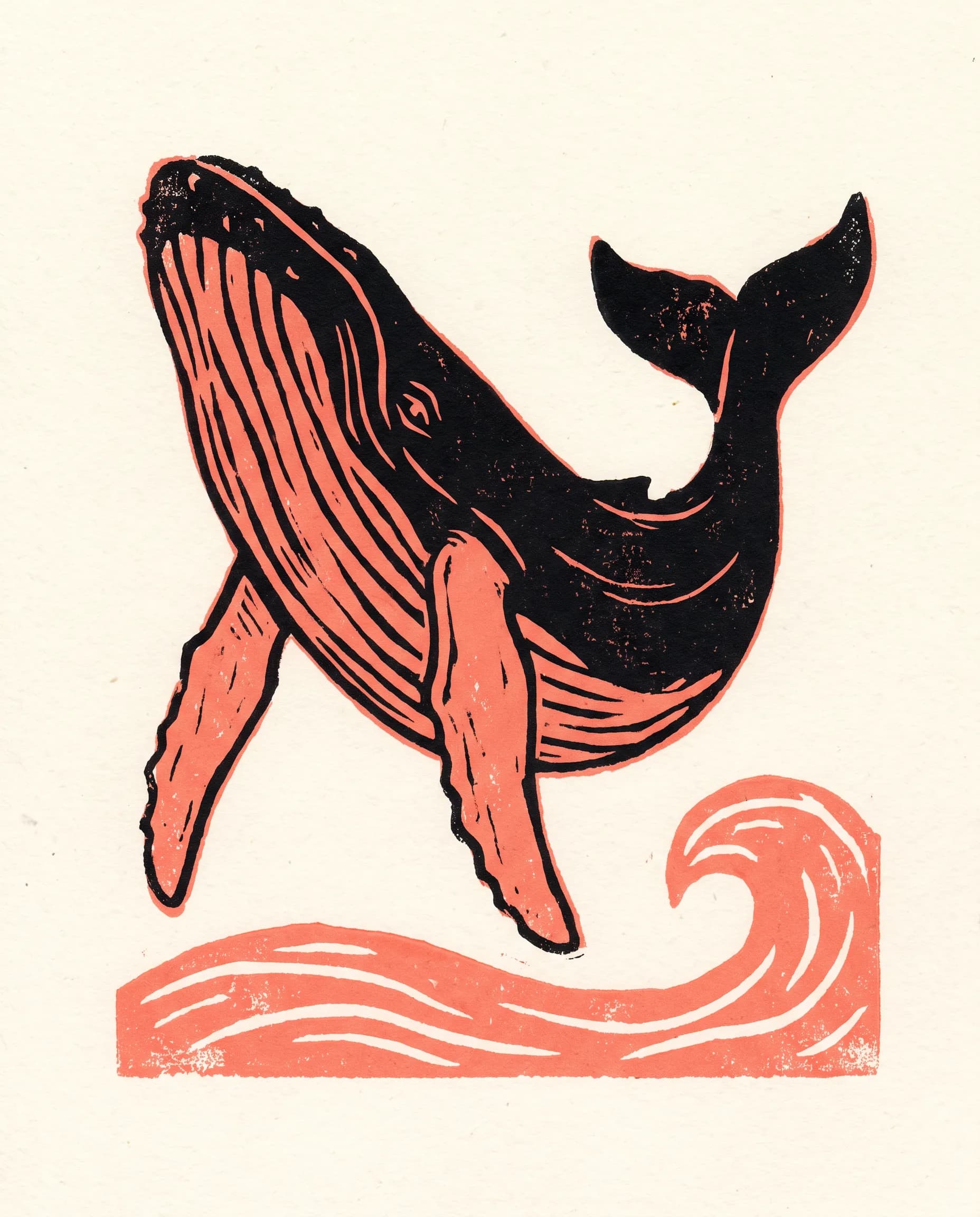 Two-color linocut print of a humpback whale in black and coral, block print art style