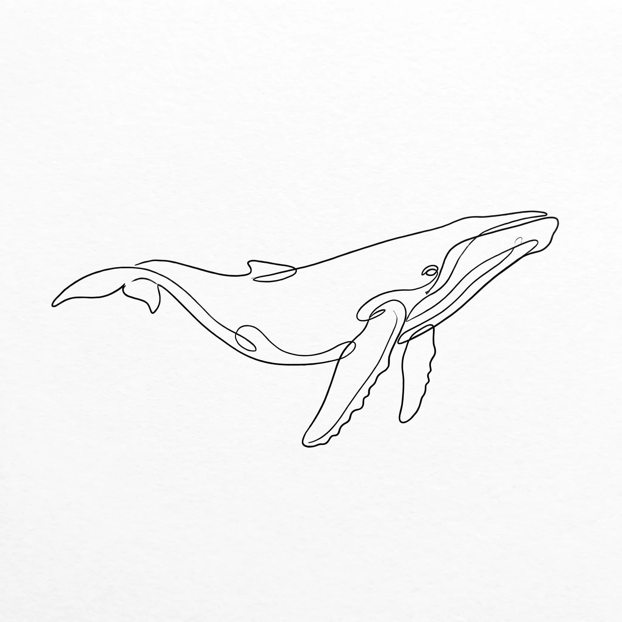 Humpback whale drawn as one continuous line, one-line drawing art style