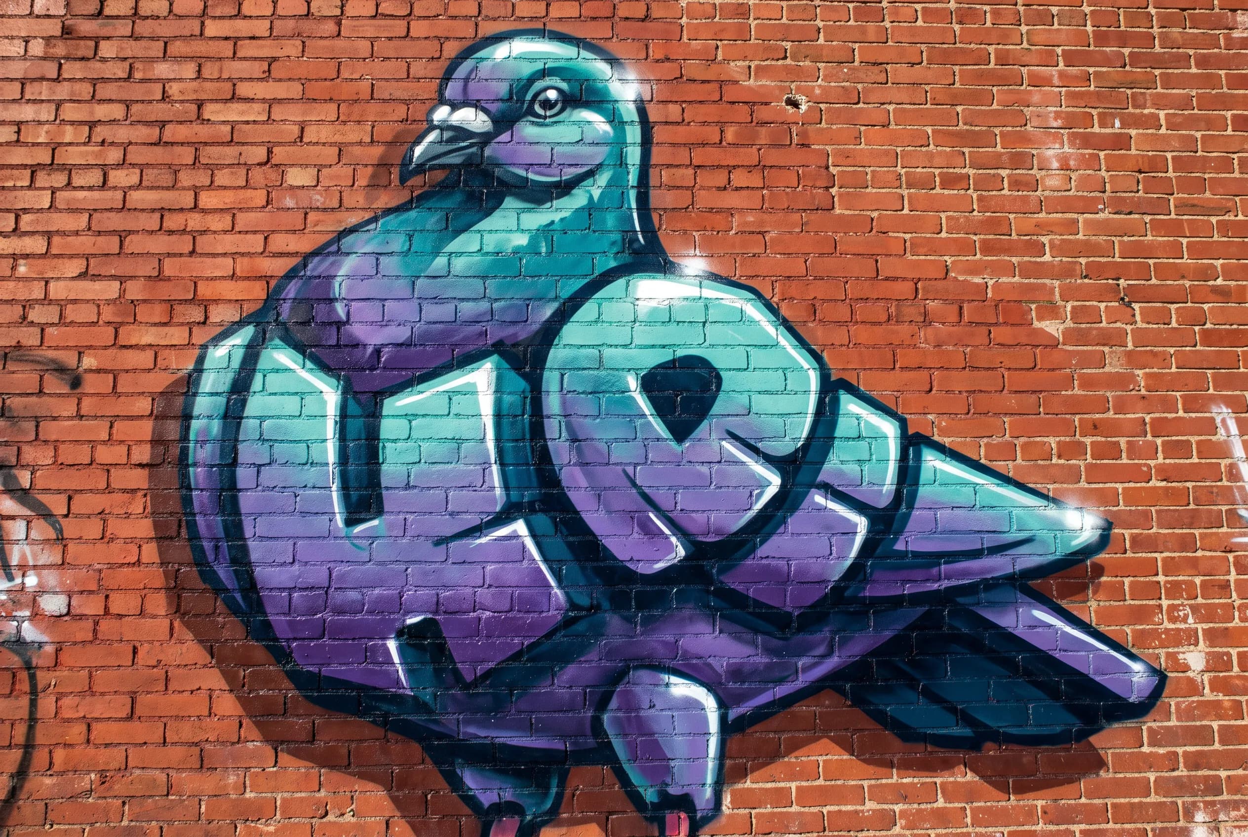 Plump city pigeon as a 3D piece with deep drop shadows on a brick wall, 3D graffiti style