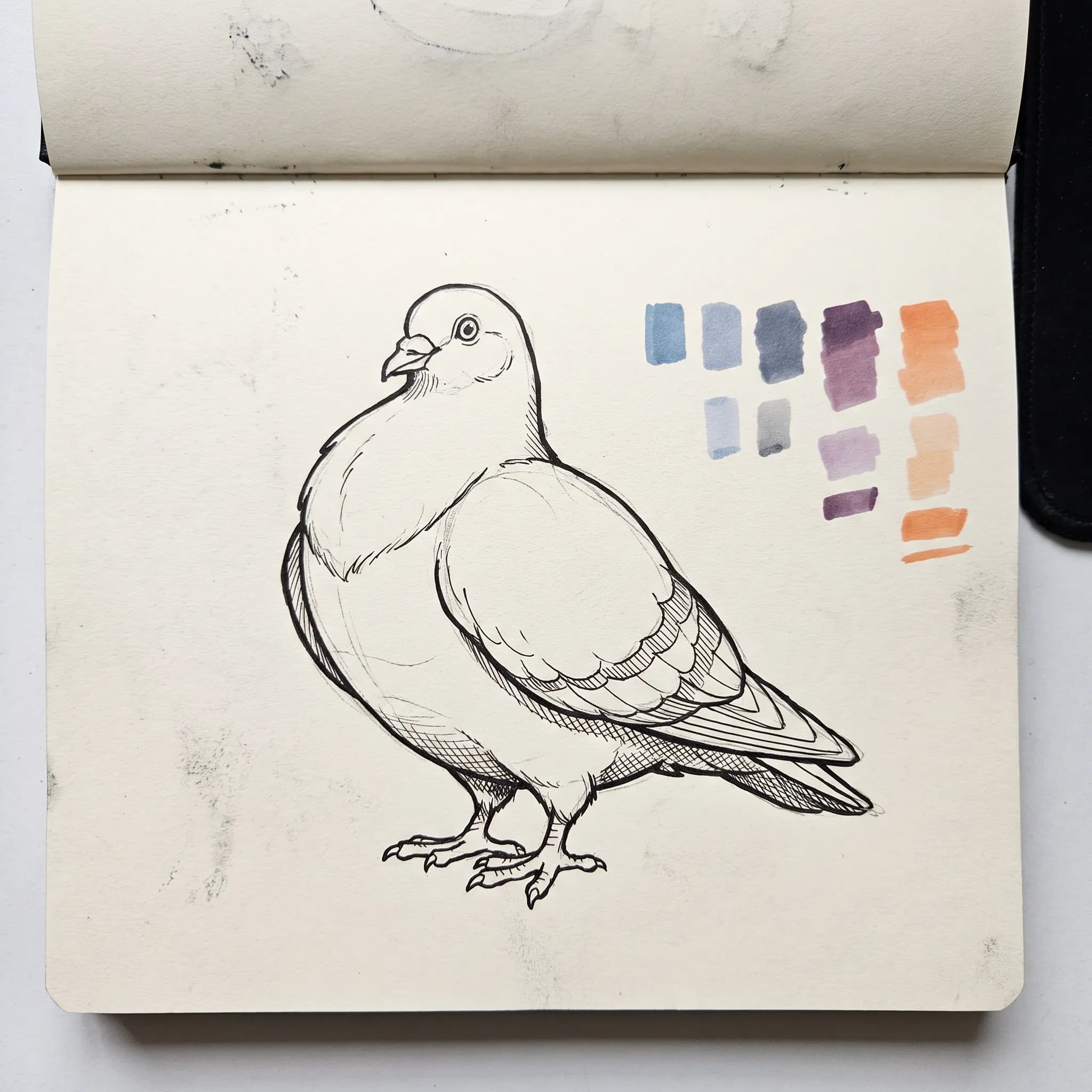 Plump city pigeon sketched as an unfilled hollow in a graffiti blackbook, hollow graffiti style
