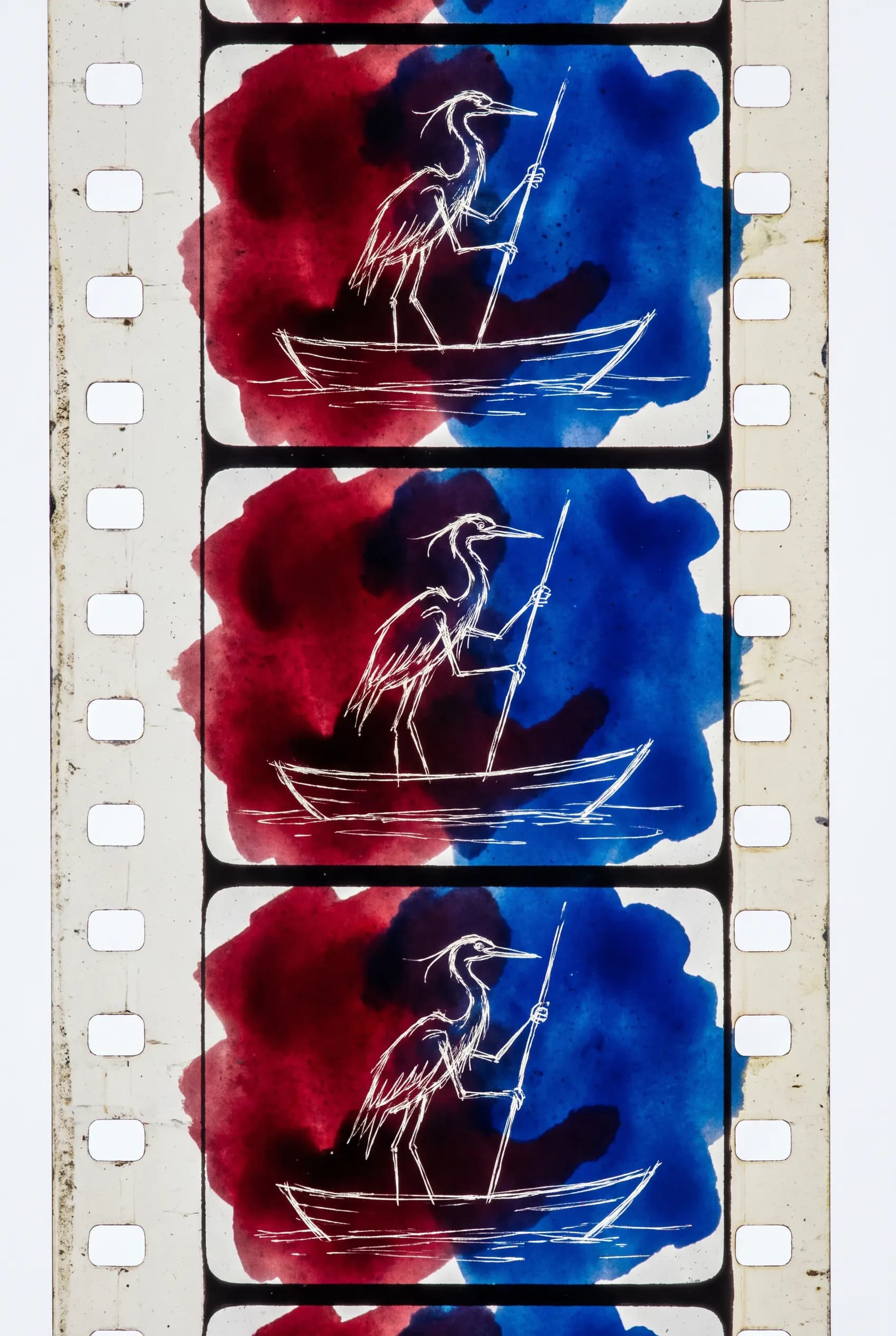 Heron ferryman scratched onto a strip of 35mm film, drawn-on-film animated art style