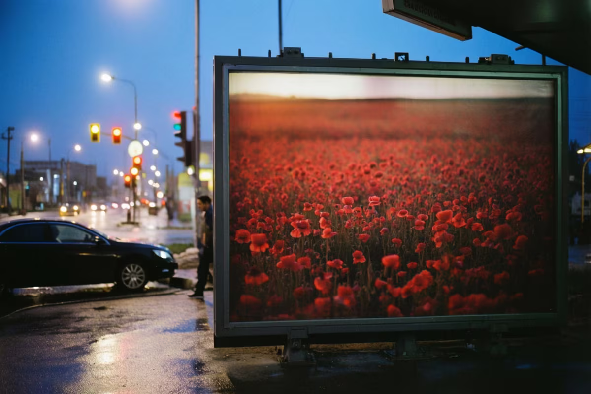 A backlit out-of-home panel running a poppy-field campaign at blue hour