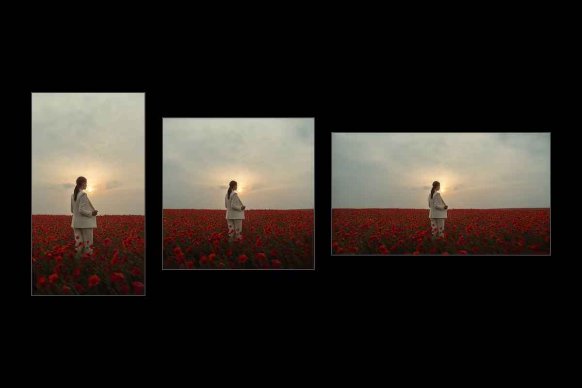 One photograph shown at 9:16, 1:1 and 16:9